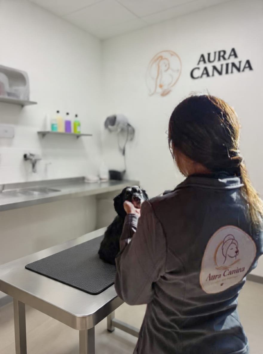 Groomer de Aura Canina atendiendo a un perro negro en la mesa de trabajo, con el logo de la empresa visible en la pared.