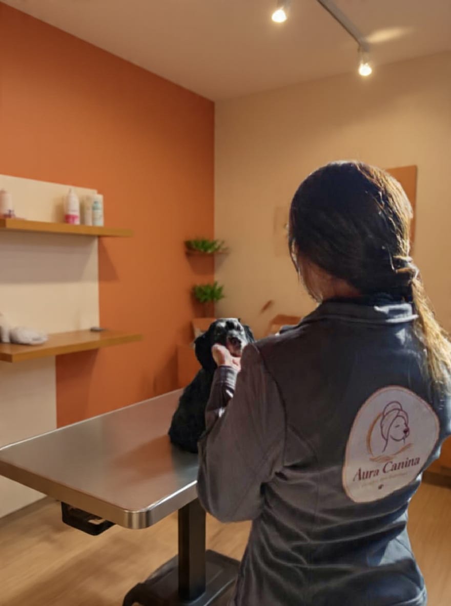 Integrante del equipo Aura Canina de espaldas con chaleco corporativo, sosteniendo un perro negro en el local